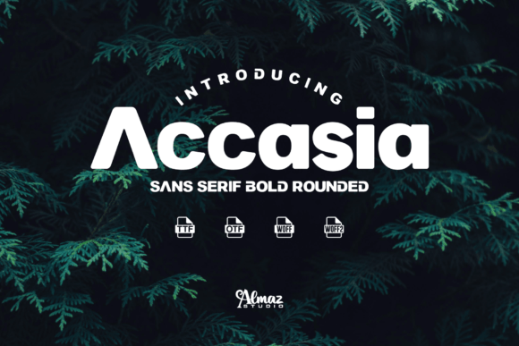 Accasia: A Clean Sans Serif Font for Business Branding