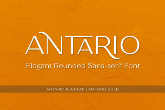 Antario: A Clean Sans Serif Font for Modern Brand Campaigns