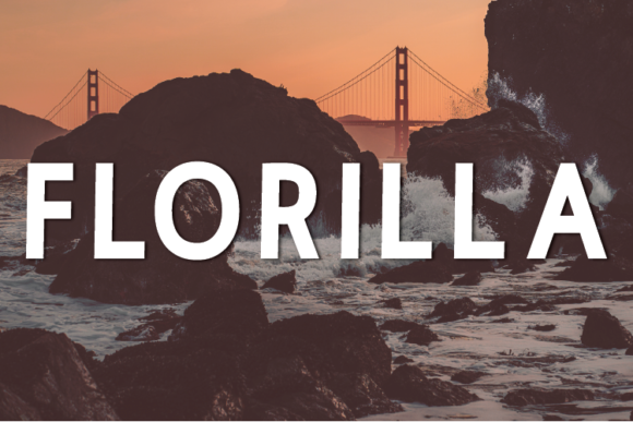 Florilla: A Modern Sans Serif Font for Elegant Editorial Design