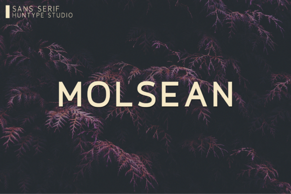 Molsean: A Fresh Sans Serif Font for Elegant Editorial Design