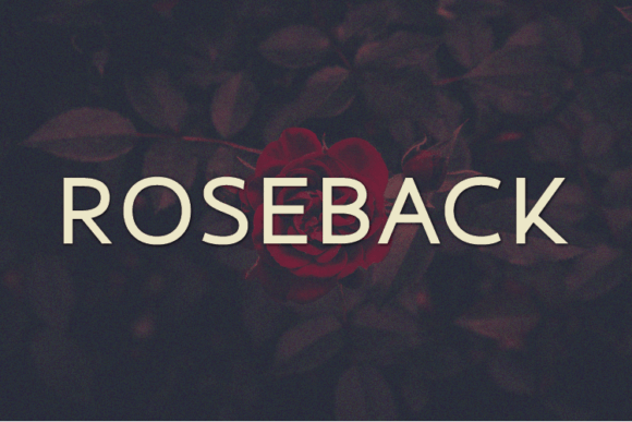 Roseback: A Modern Sans Serif Typeface for Digital Designers
