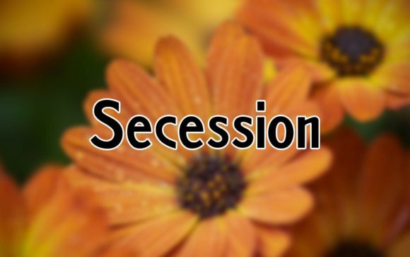 Secession Font: Elegance Meets Playfulness in Sans Serif Design
