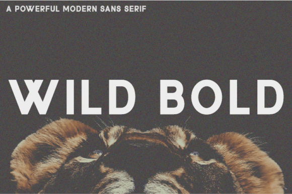 Wild Bold: A Cool Sans Serif Font for High-Impact Campaign Graphics